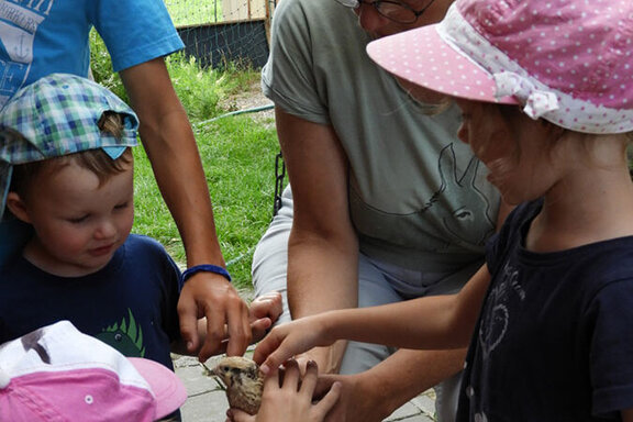 Kinderspaß auf dem Bauernhof Köpke Hof