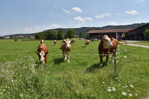 Köpkehof in Vagen